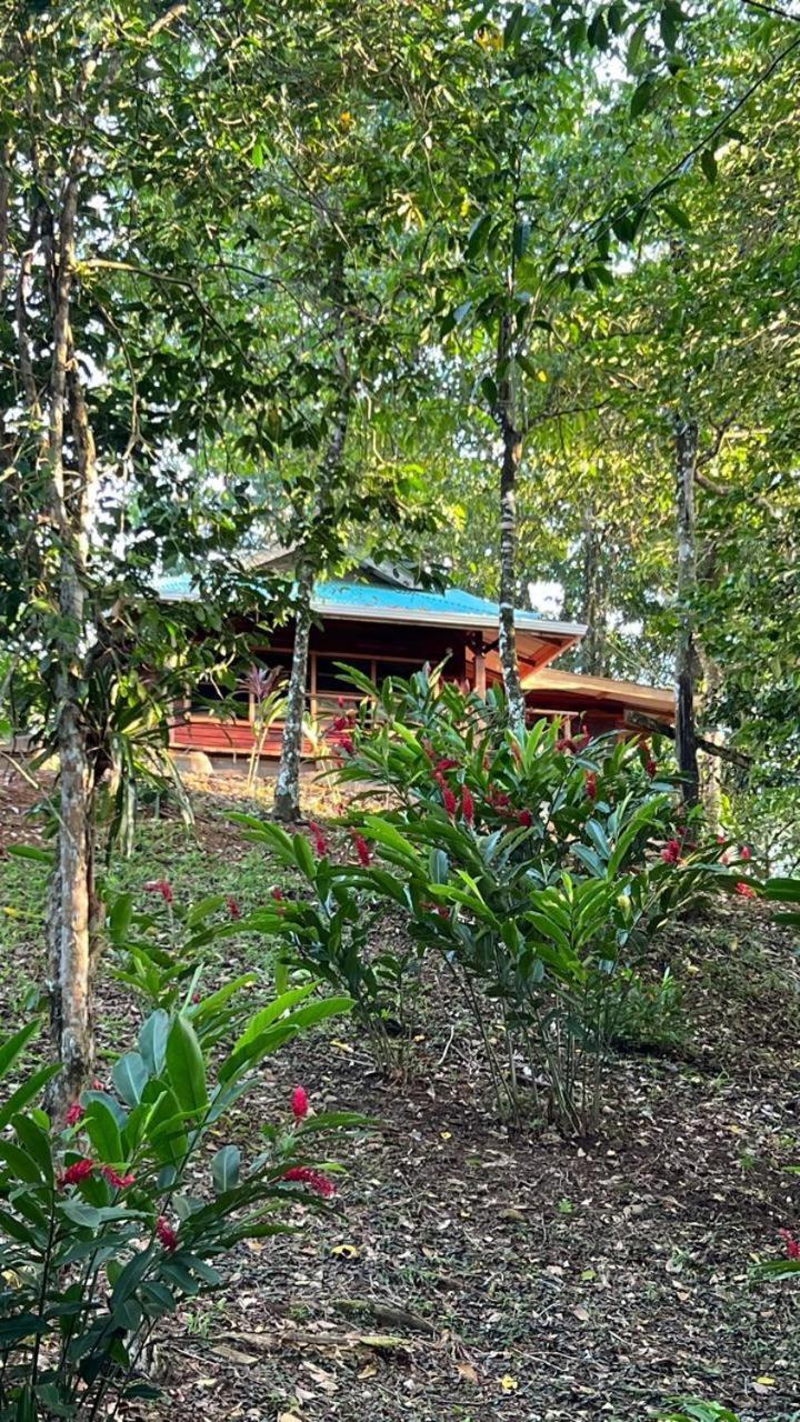 Akwaba Lodge The Gap 객실 사진